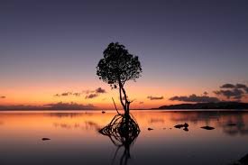 test 1