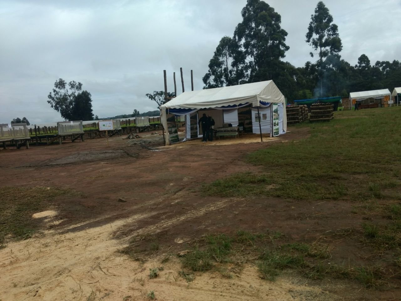 EXPO